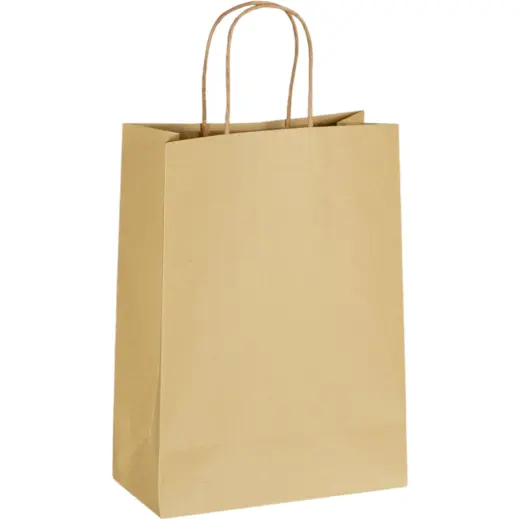 Ecological Digital Print Midi Paper Gift Bag 150g Unbranded